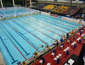 2013 年 FINA 游泳世界杯—新加坡