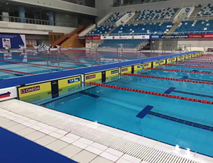 2016 年国际泳联游泳世界杯-水立方
